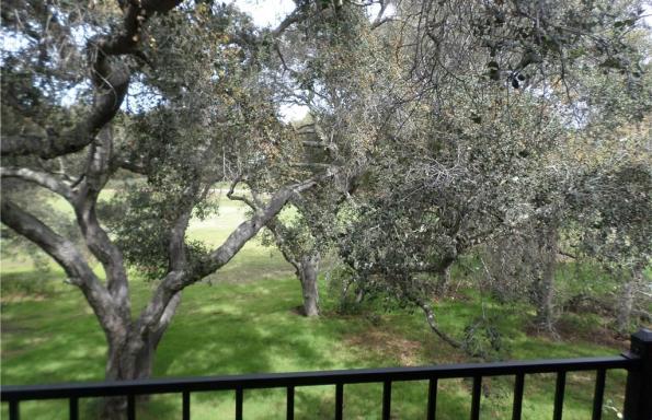 Deck View